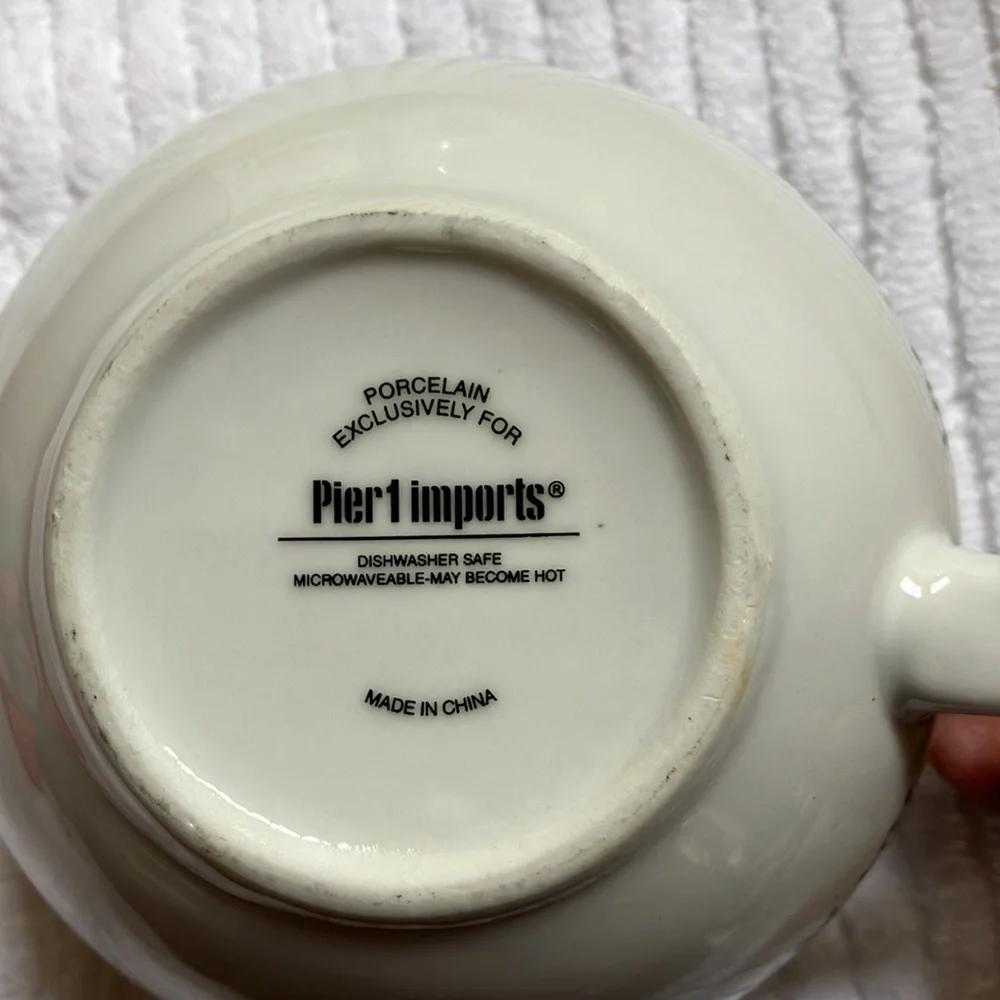 Pier 1 zebra mug